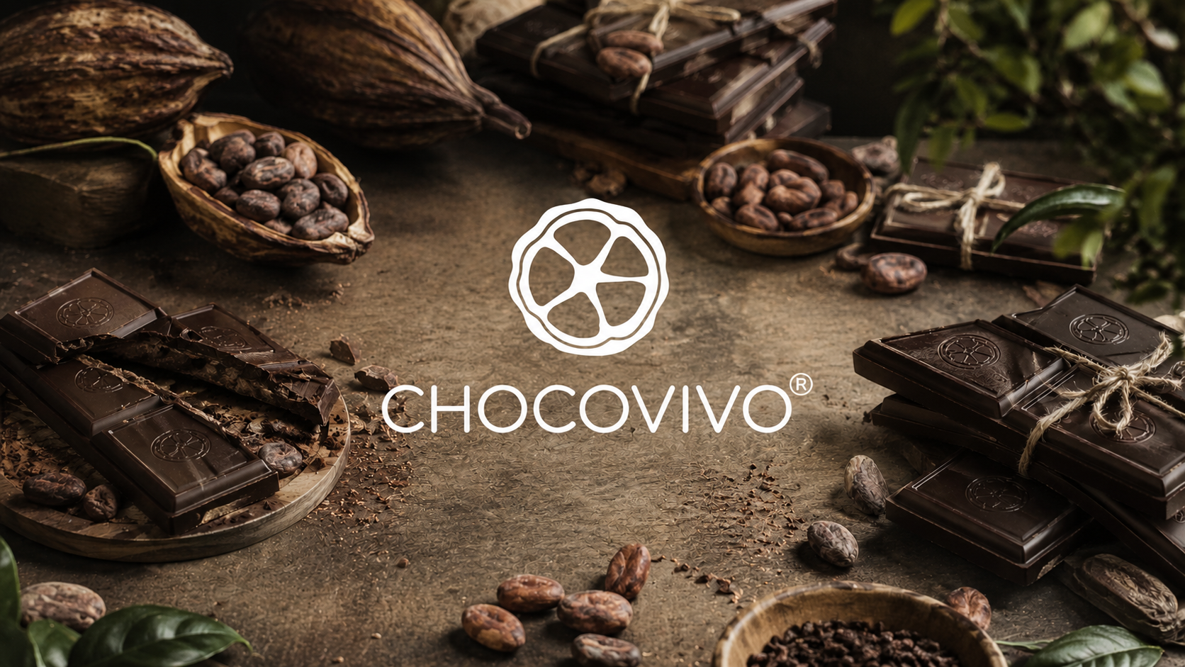 ChocoVivo artisan chocolate store